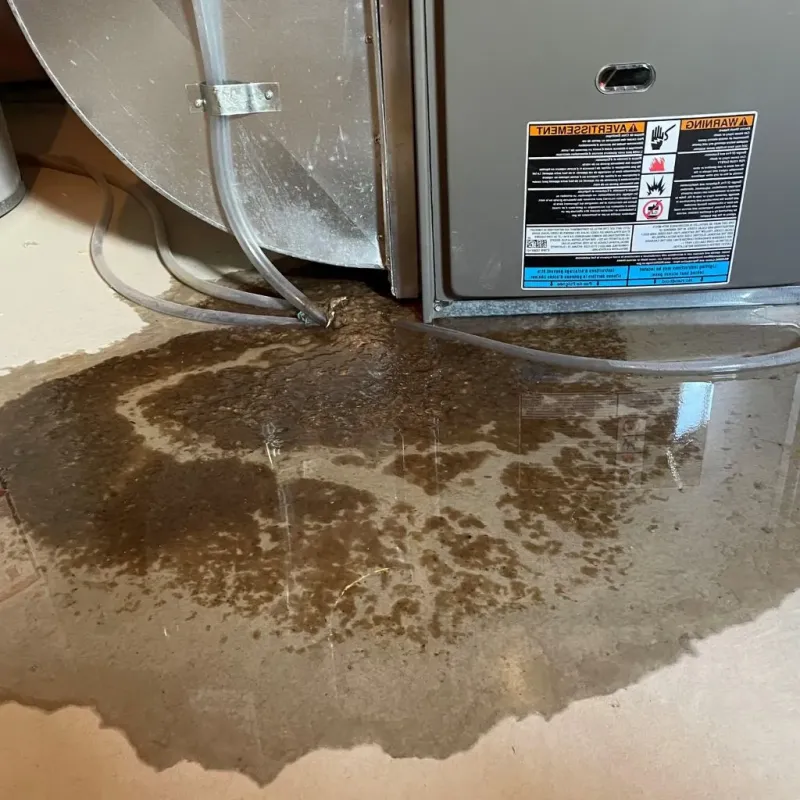 Pipe Burst and Leak Restoration in Richmond County, NY